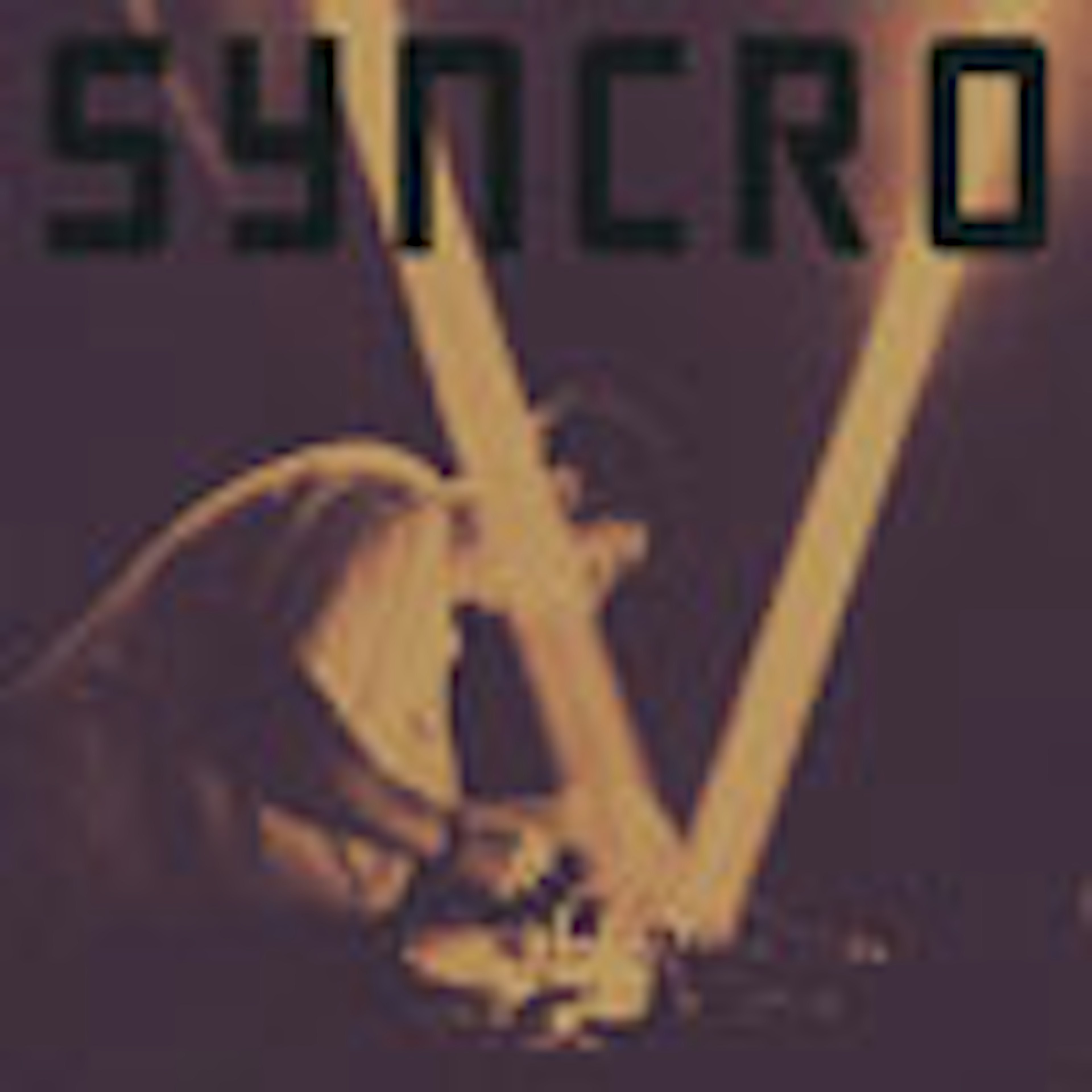 banner-highlight