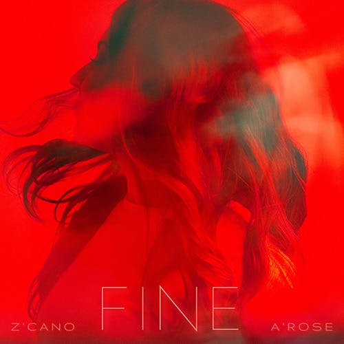Fine