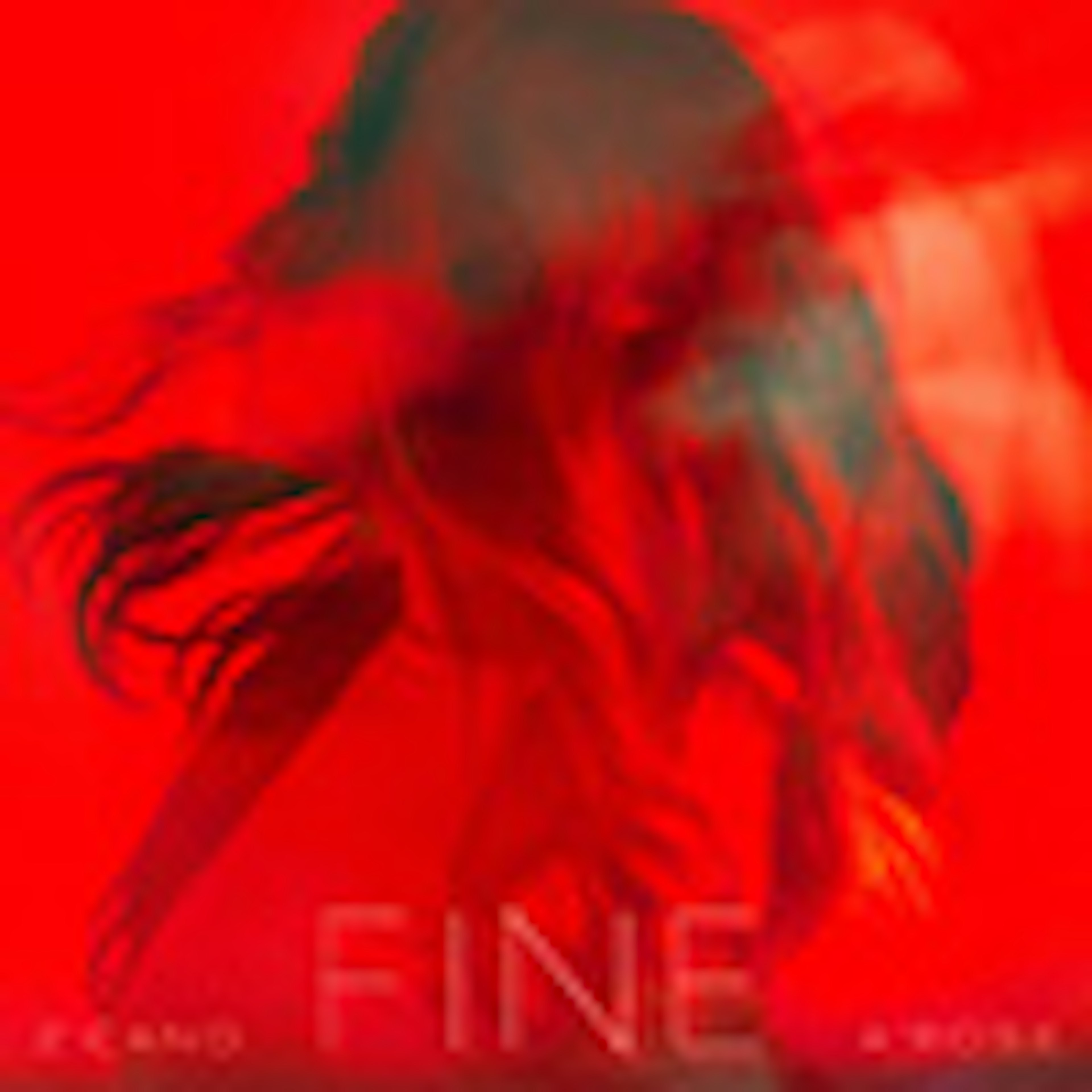 Fine album cover