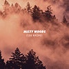 Misty Woods album cover Misty Woods album cover