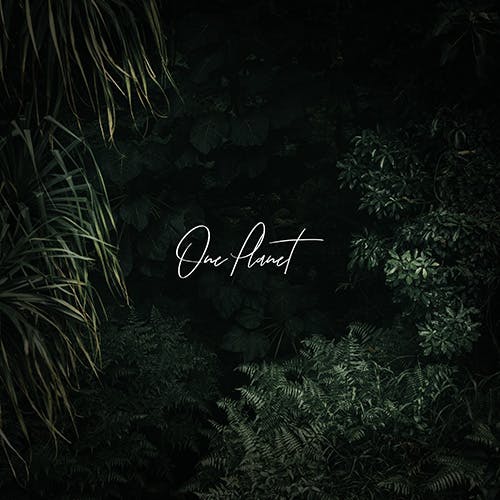 One Planet