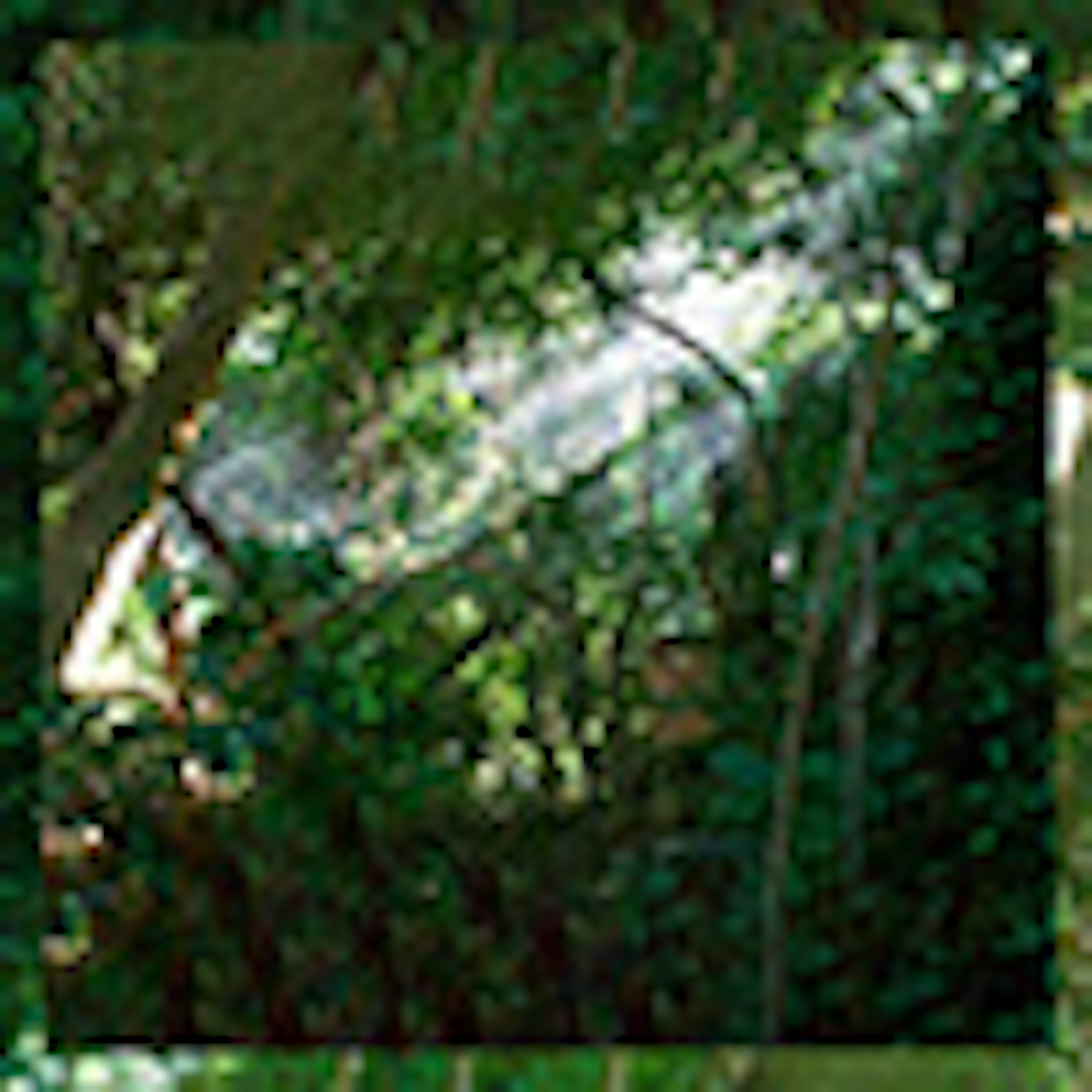 banner-highlight