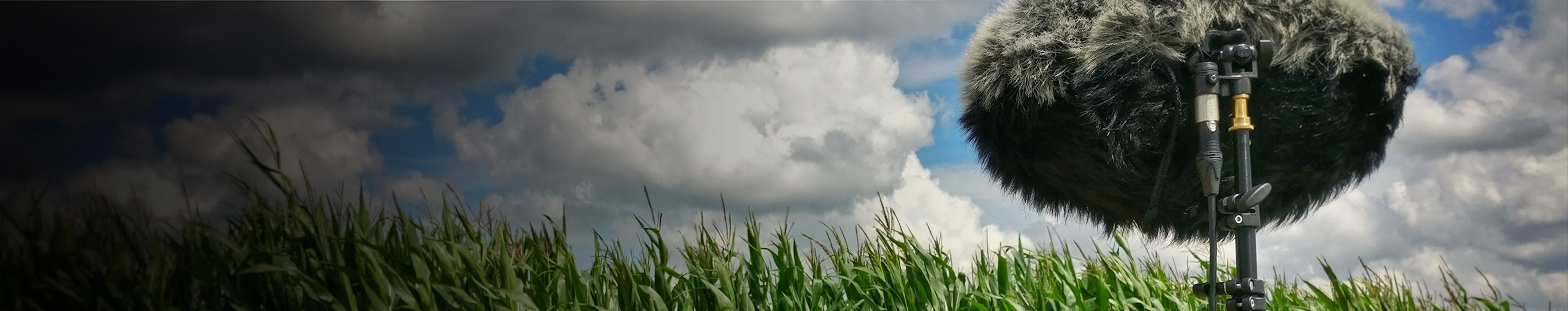 Smartphone Notification Sounds