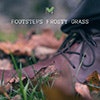 Footsteps Frosty Grass album cover Footsteps Frosty Grass album cover