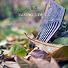 Raking Leaves album cover Raking Leaves album cover