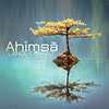 Ahimsa album cover Ahimsa album cover