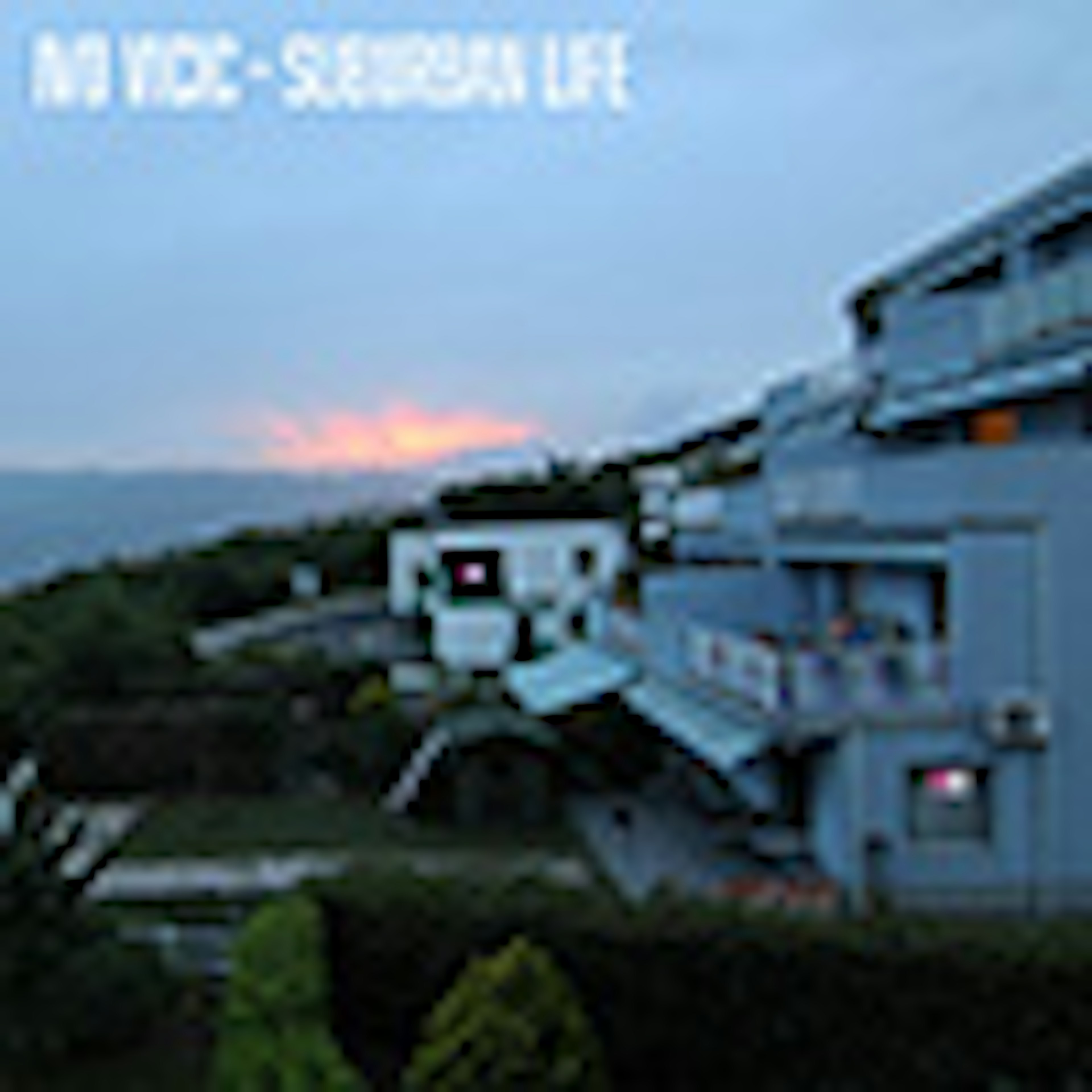 Suburban Life album cover