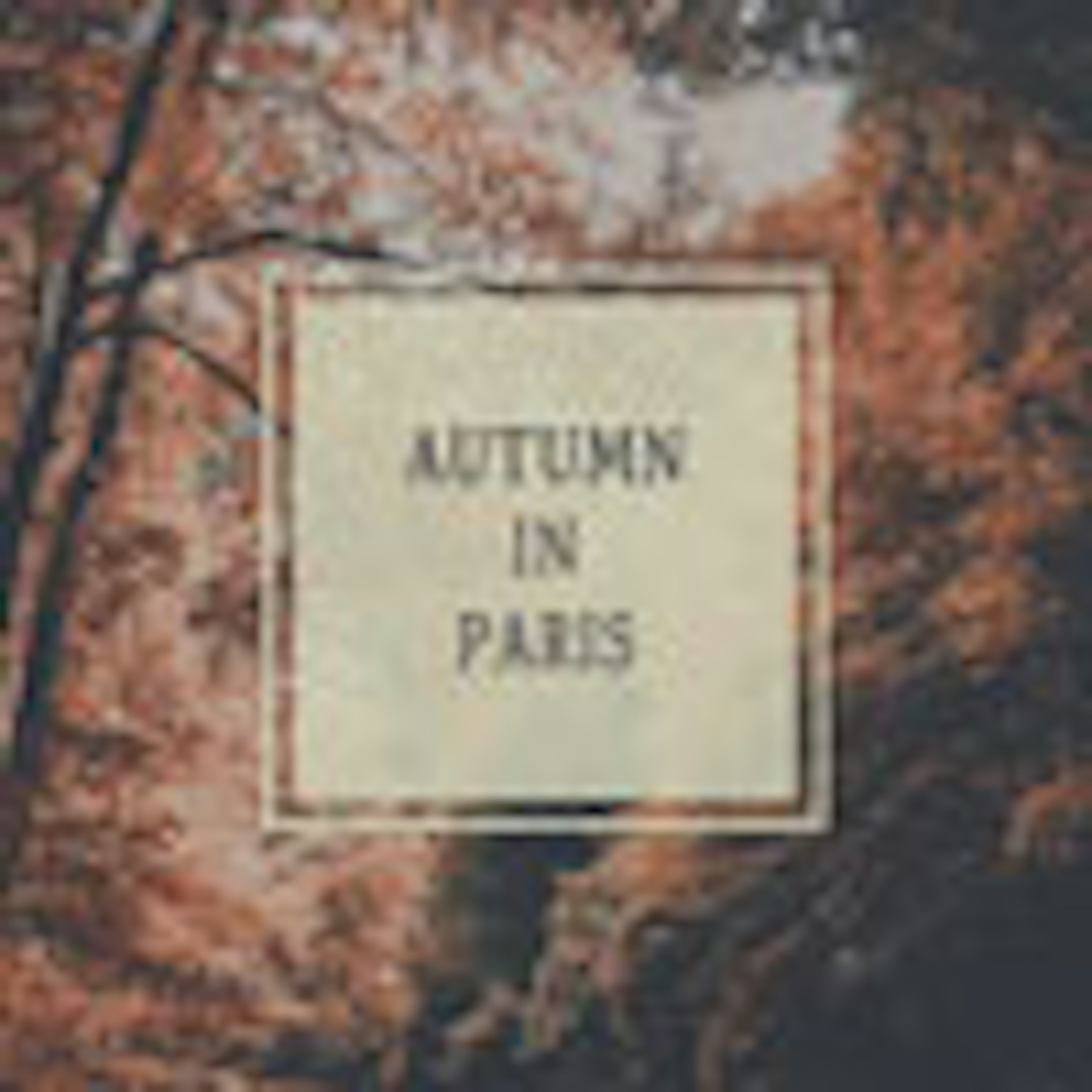 Autumn in Paris