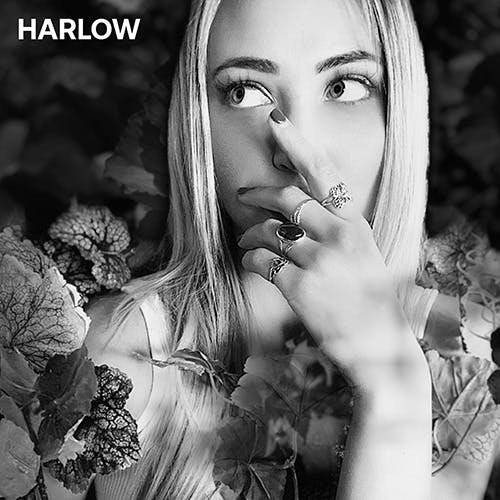 HARLOW