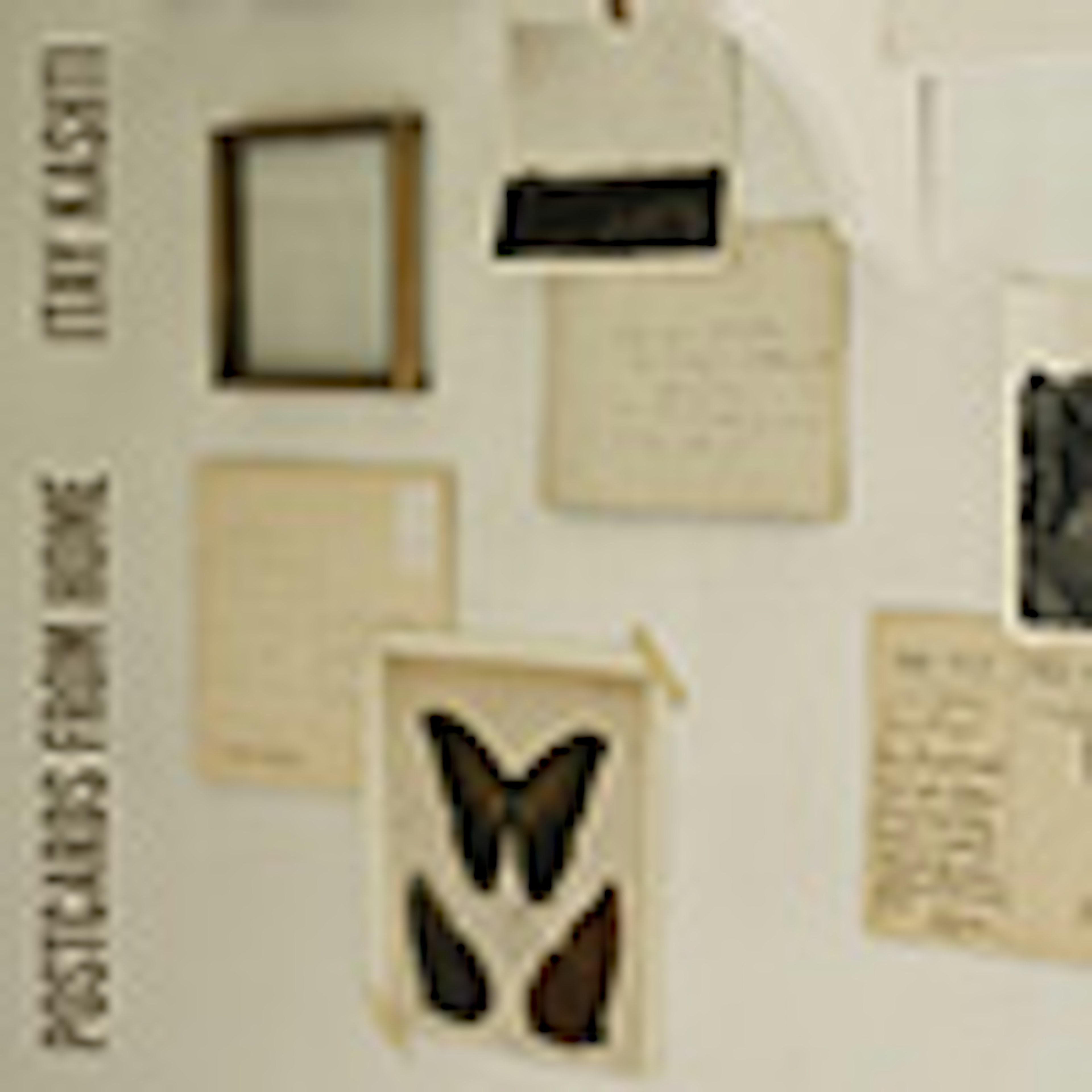 banner-highlight