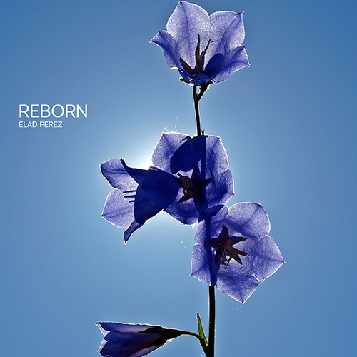 Reborn