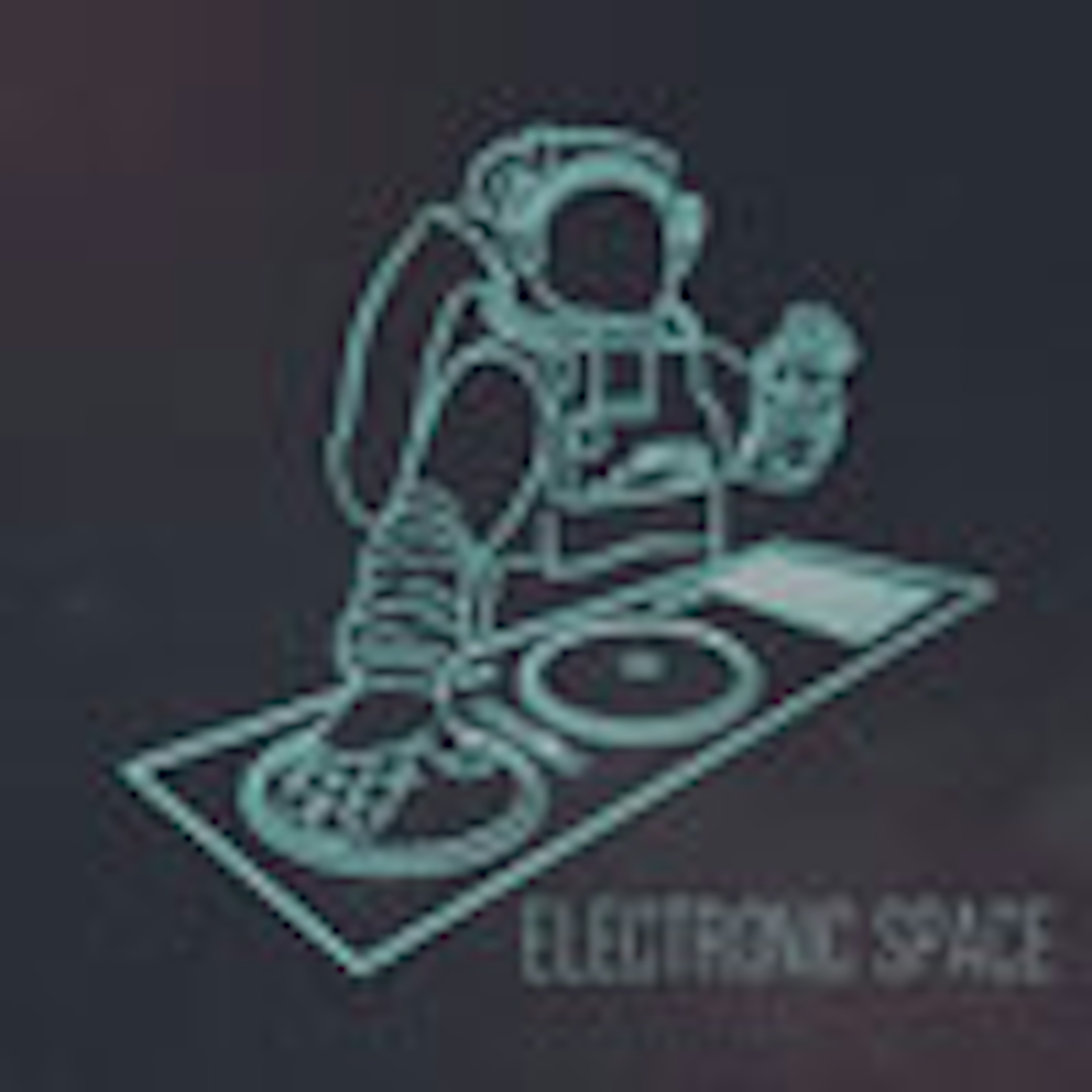 Electronic Space