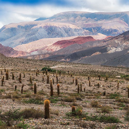 Andean Mountains