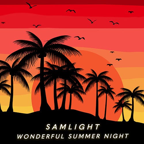 Wonderful Summer Night