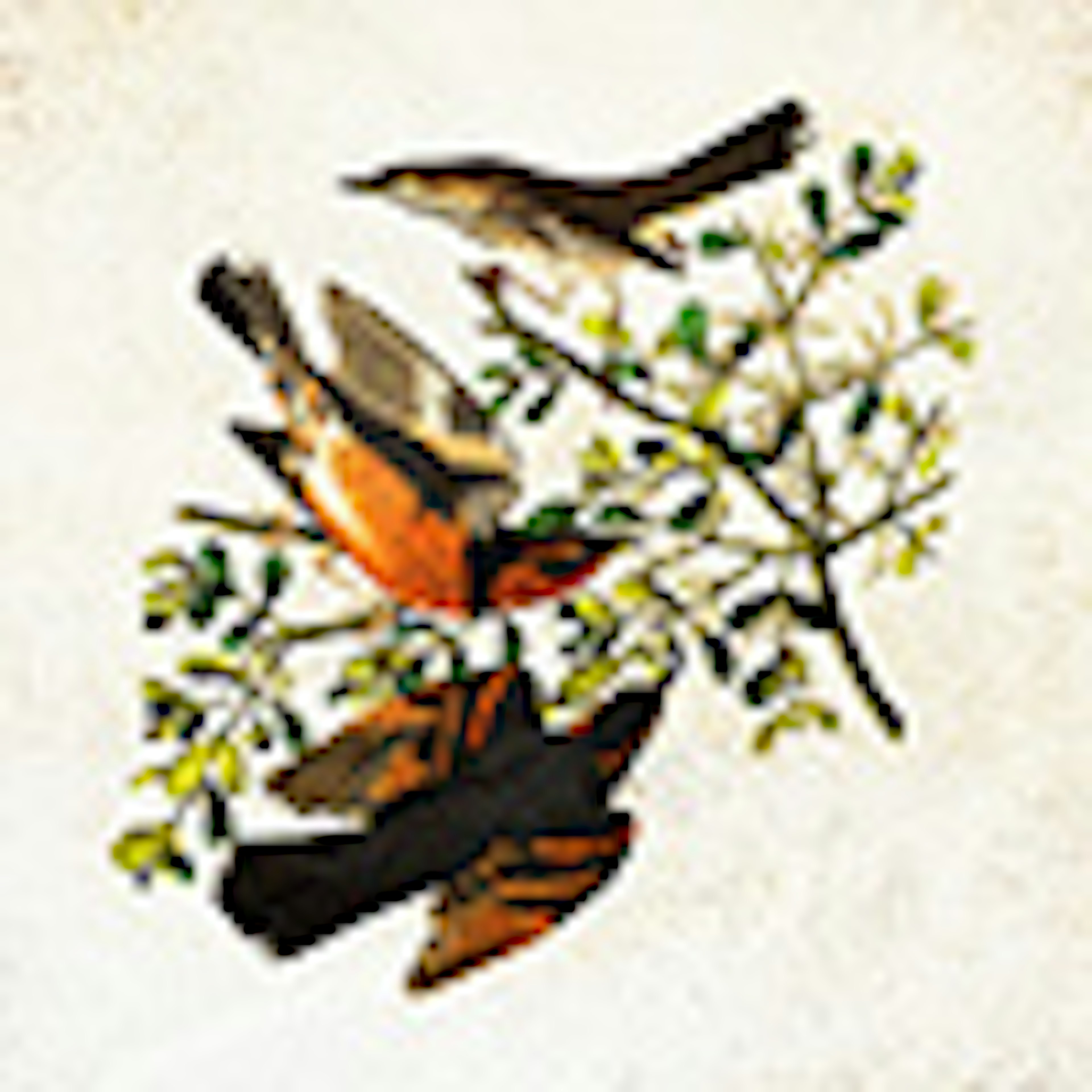 banner-highlight