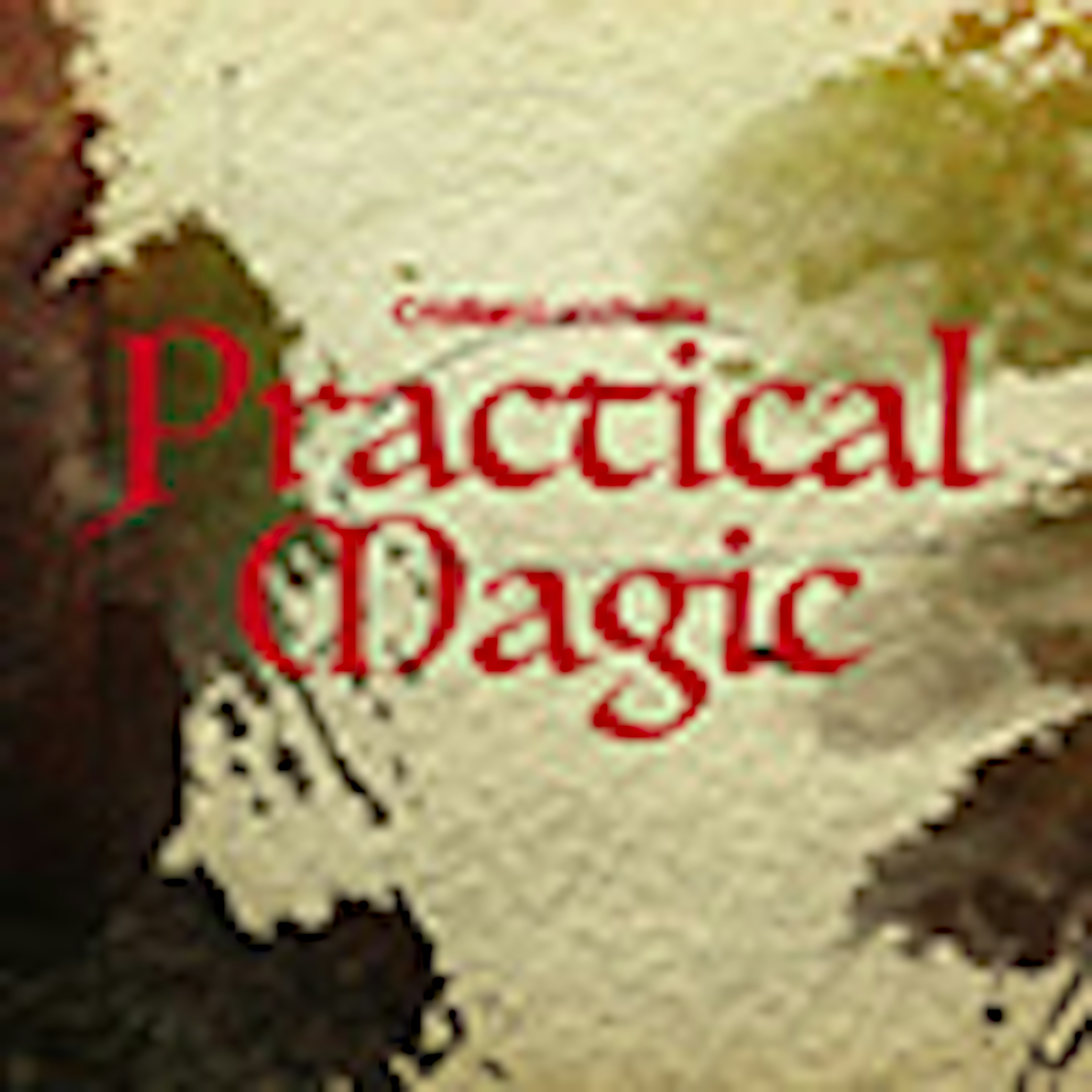 Practical Magic album cover