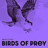 Birds of Prey album cover Birds of Prey album cover