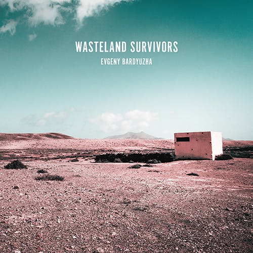 Wasteland Survivors
