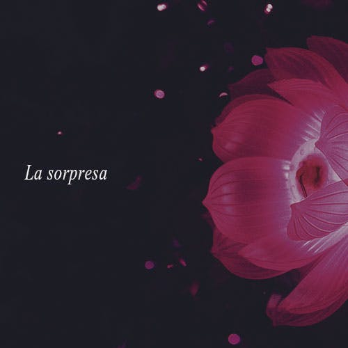 La Sorpresa