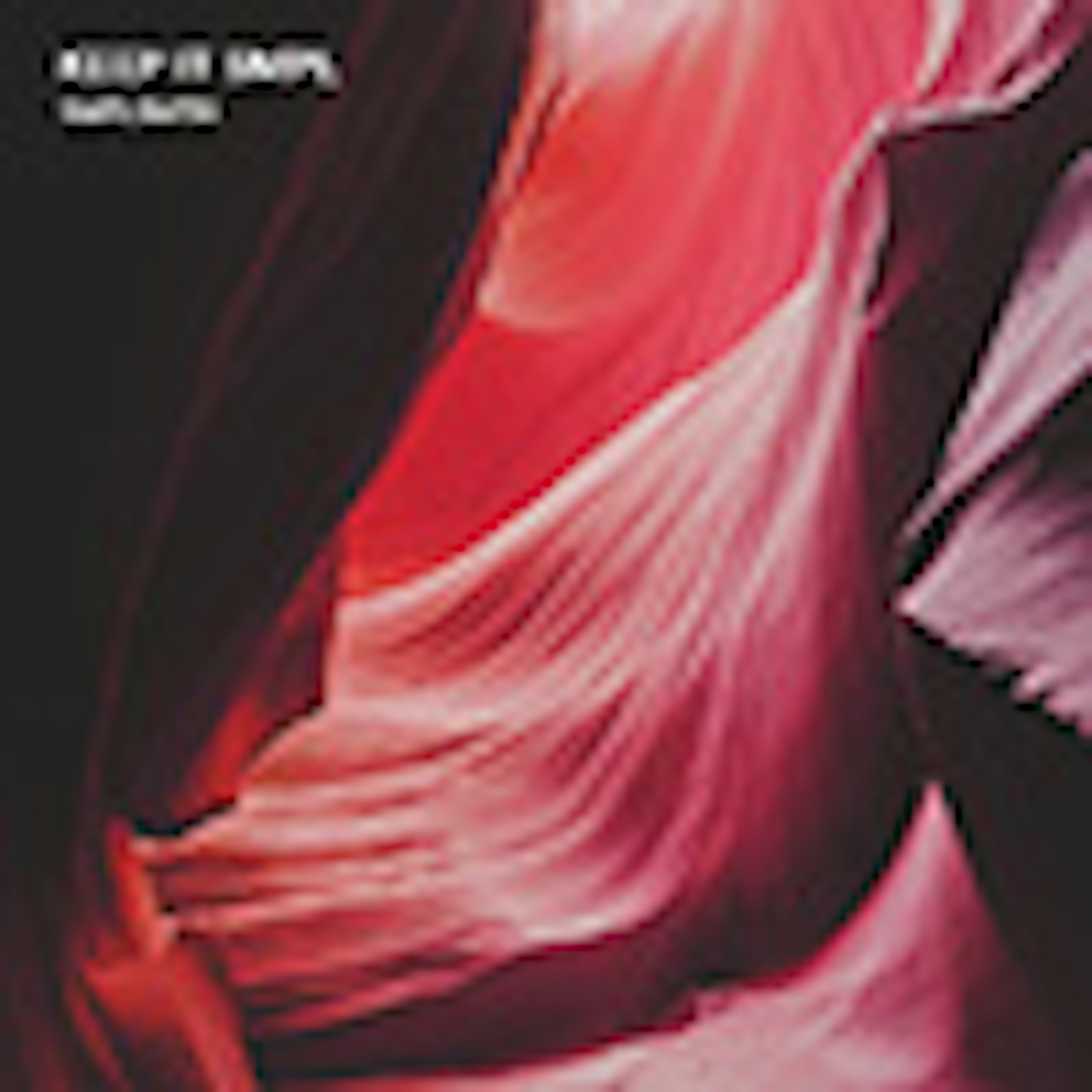keep it smpl album cover