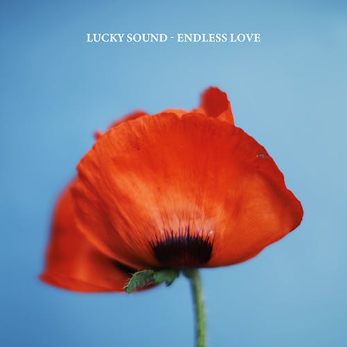 Endless Love