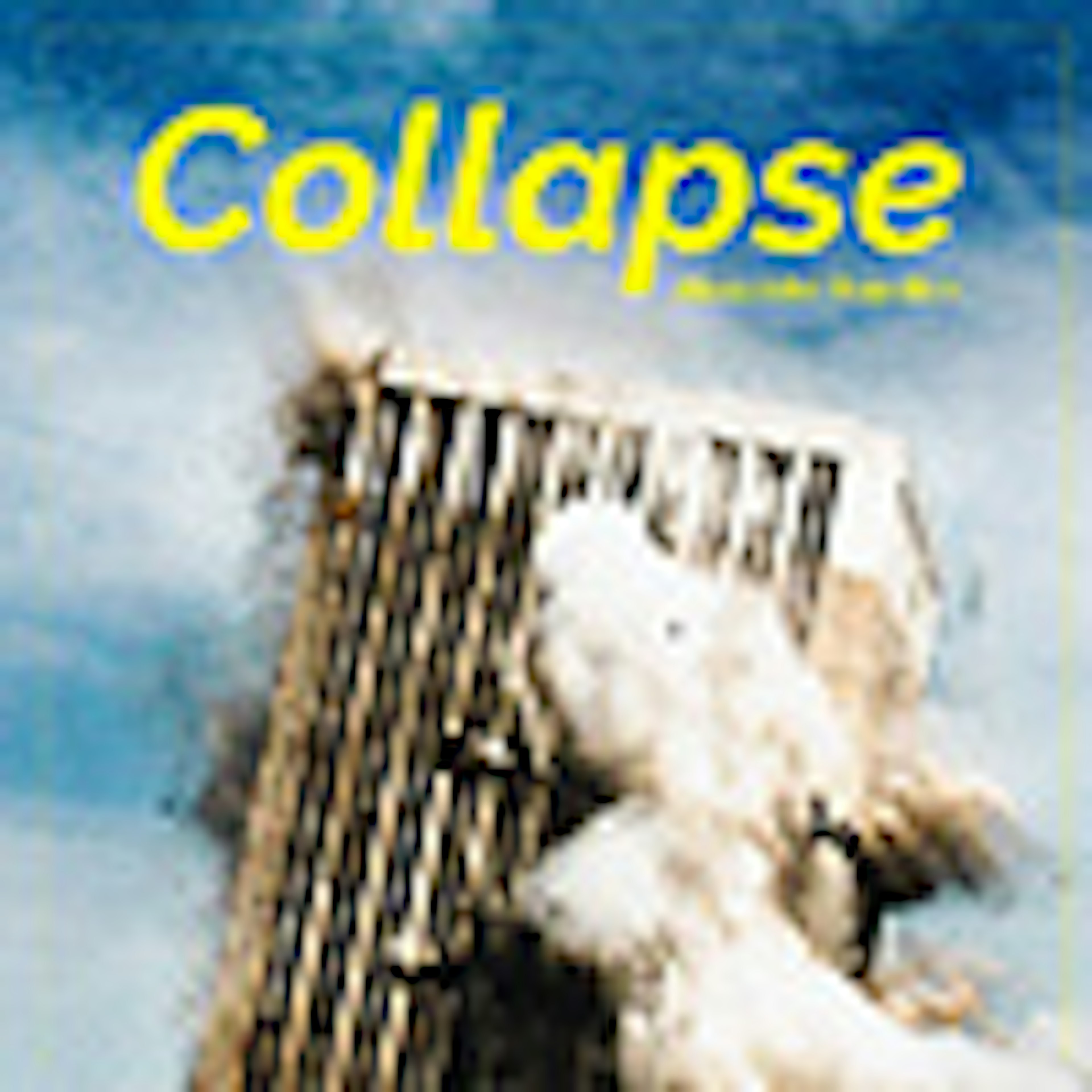 Collapse album cover