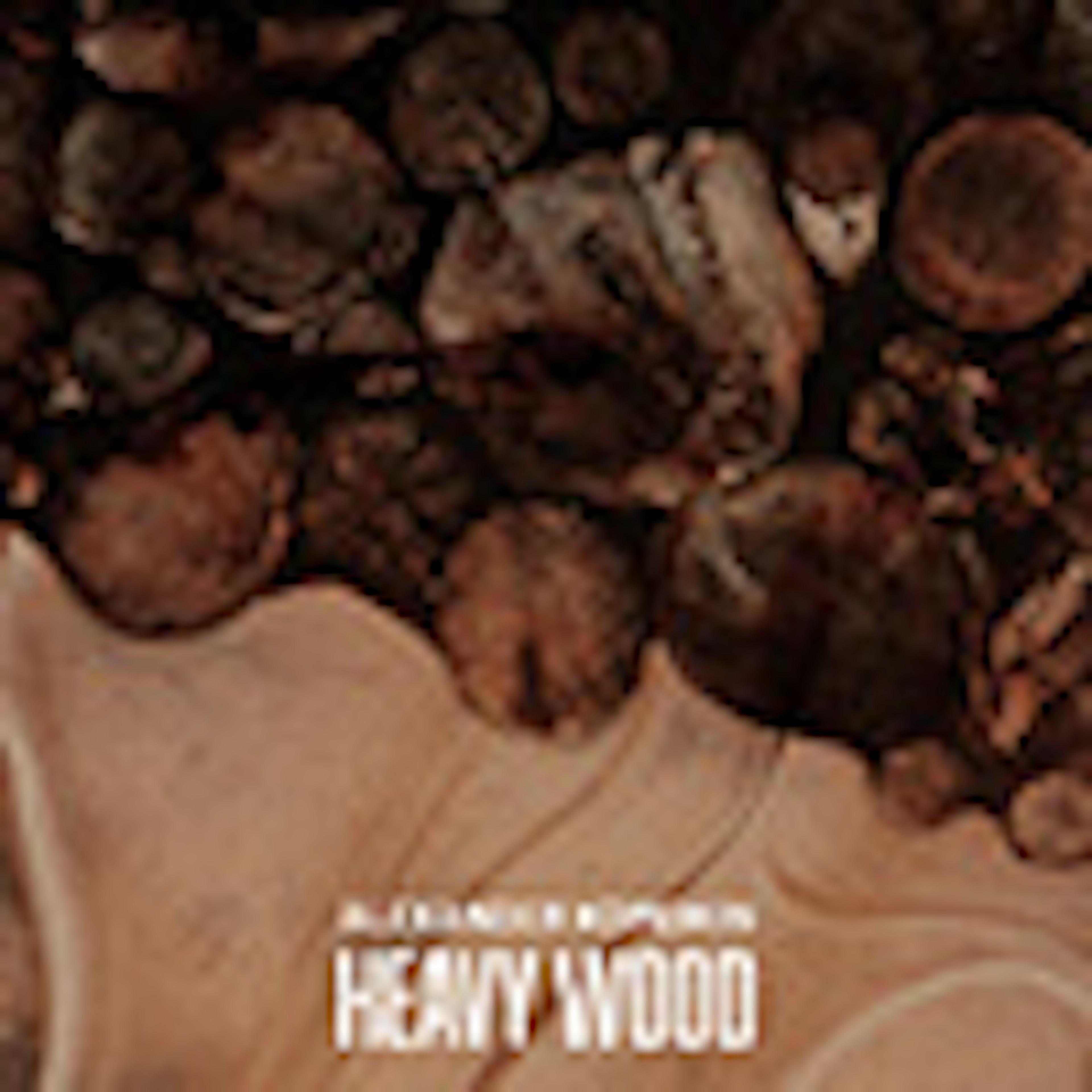 Heavy Wood album cover