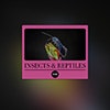 Insects & Reptiles album cover Insects & Reptiles album cover