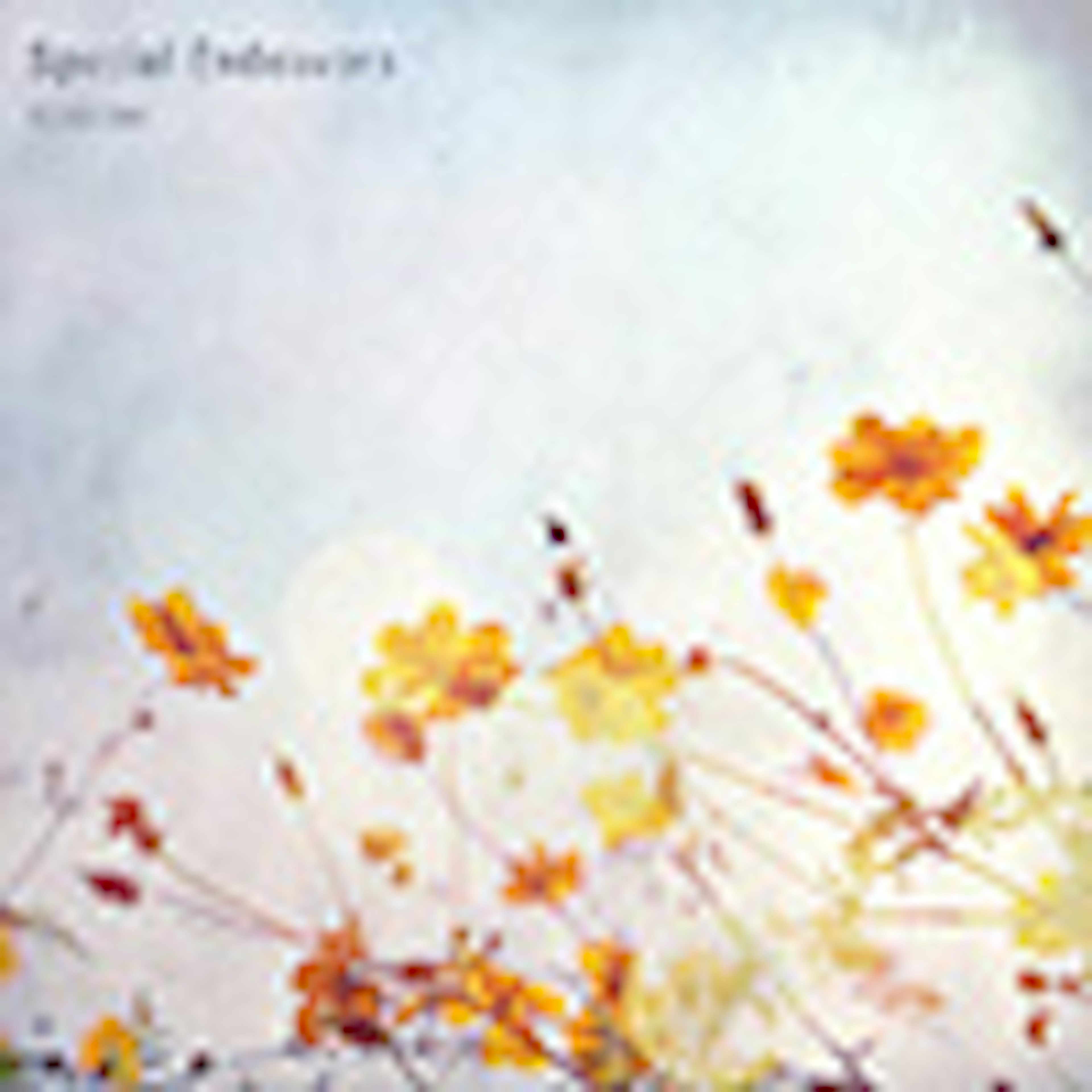 Special Endeavors album cover