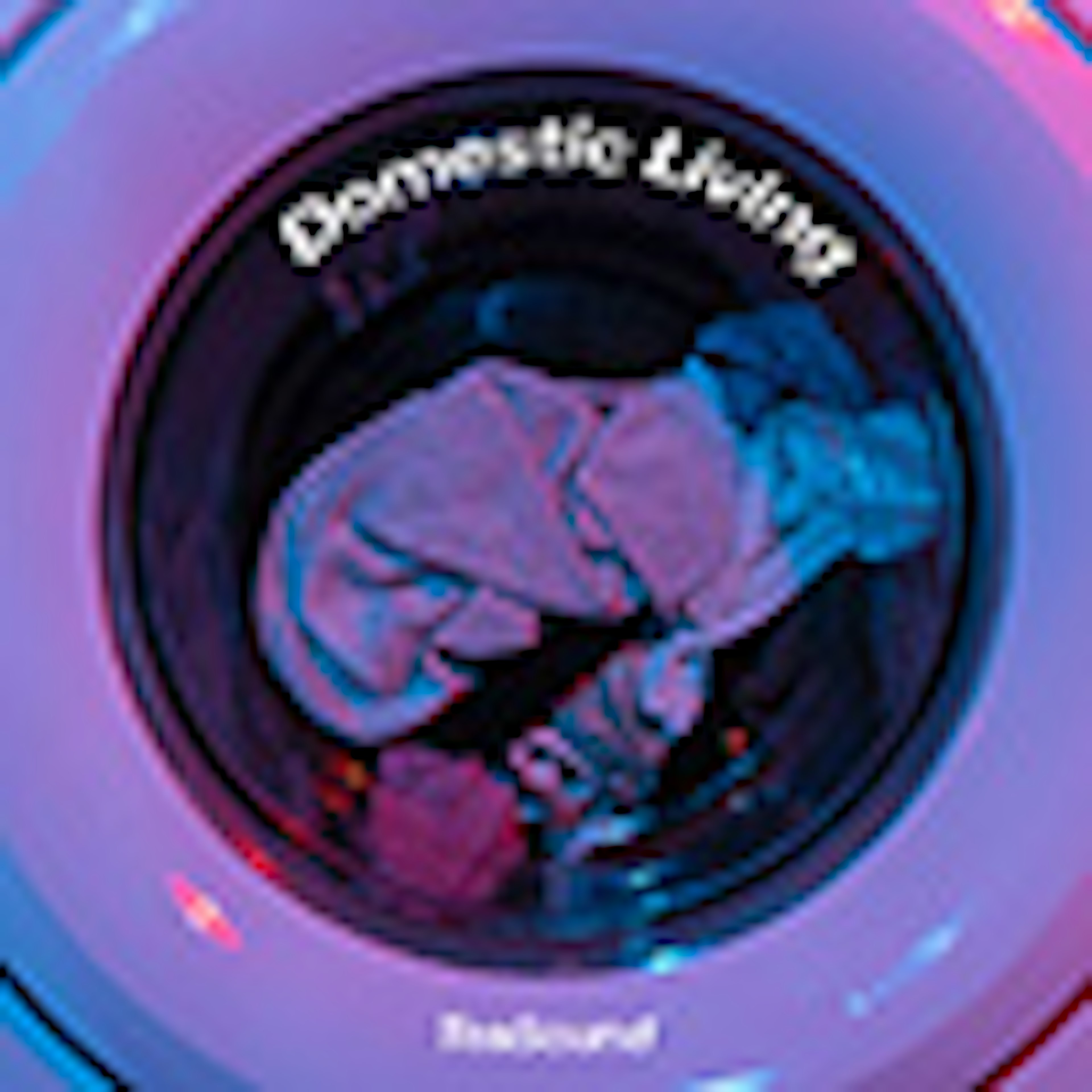 Domestic Living album cover