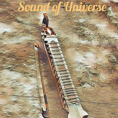 Sound of Universe