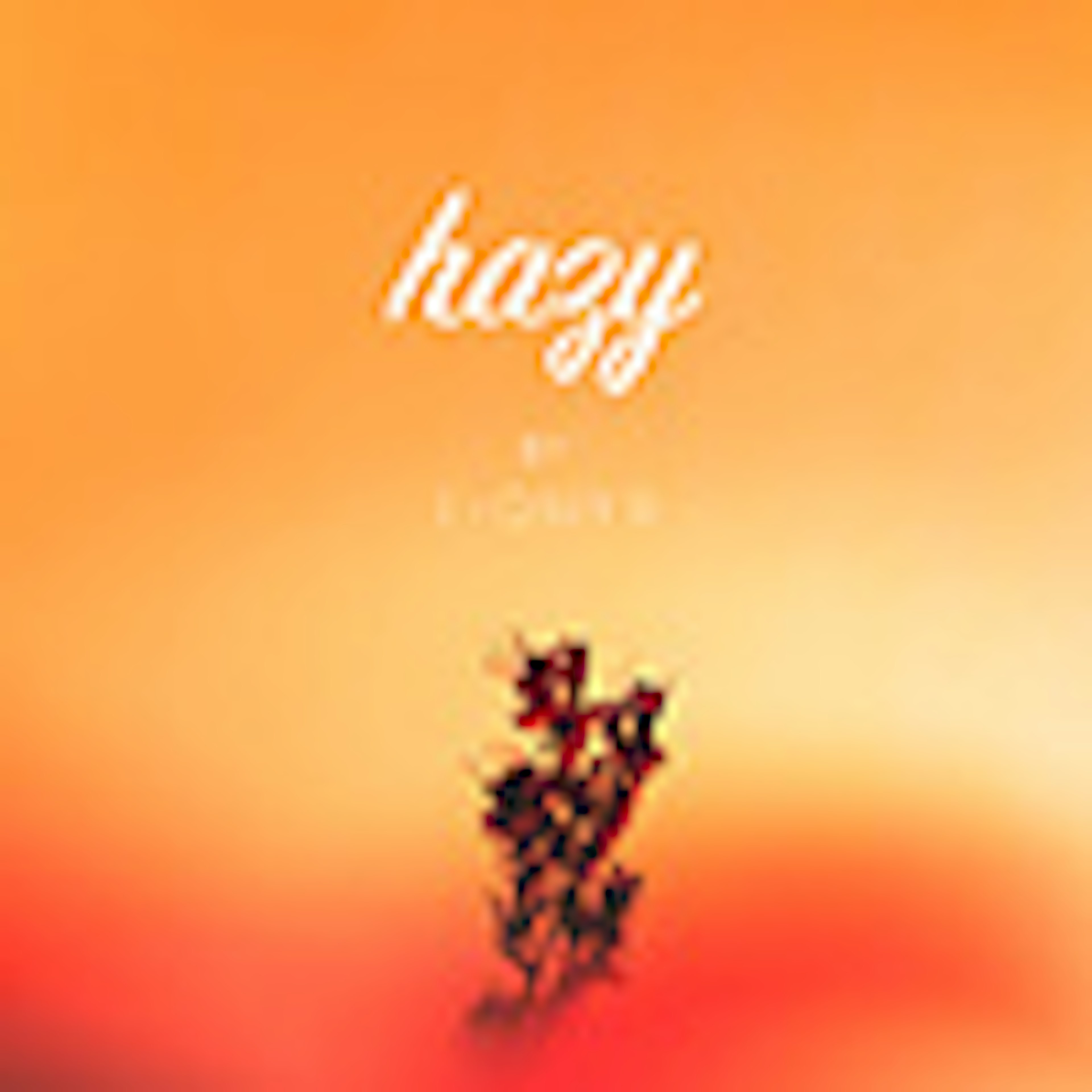 banner-highlight