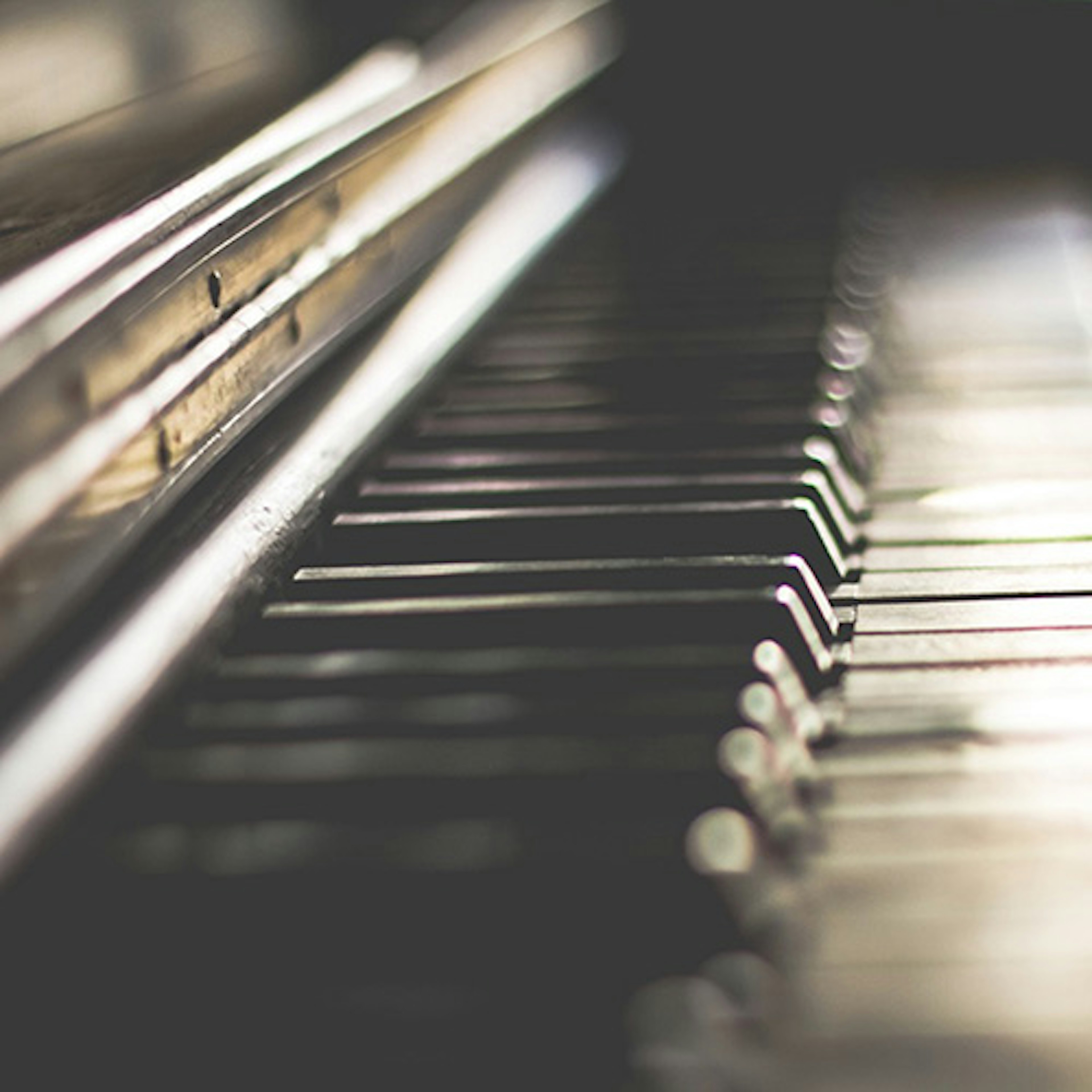 banner-highlight