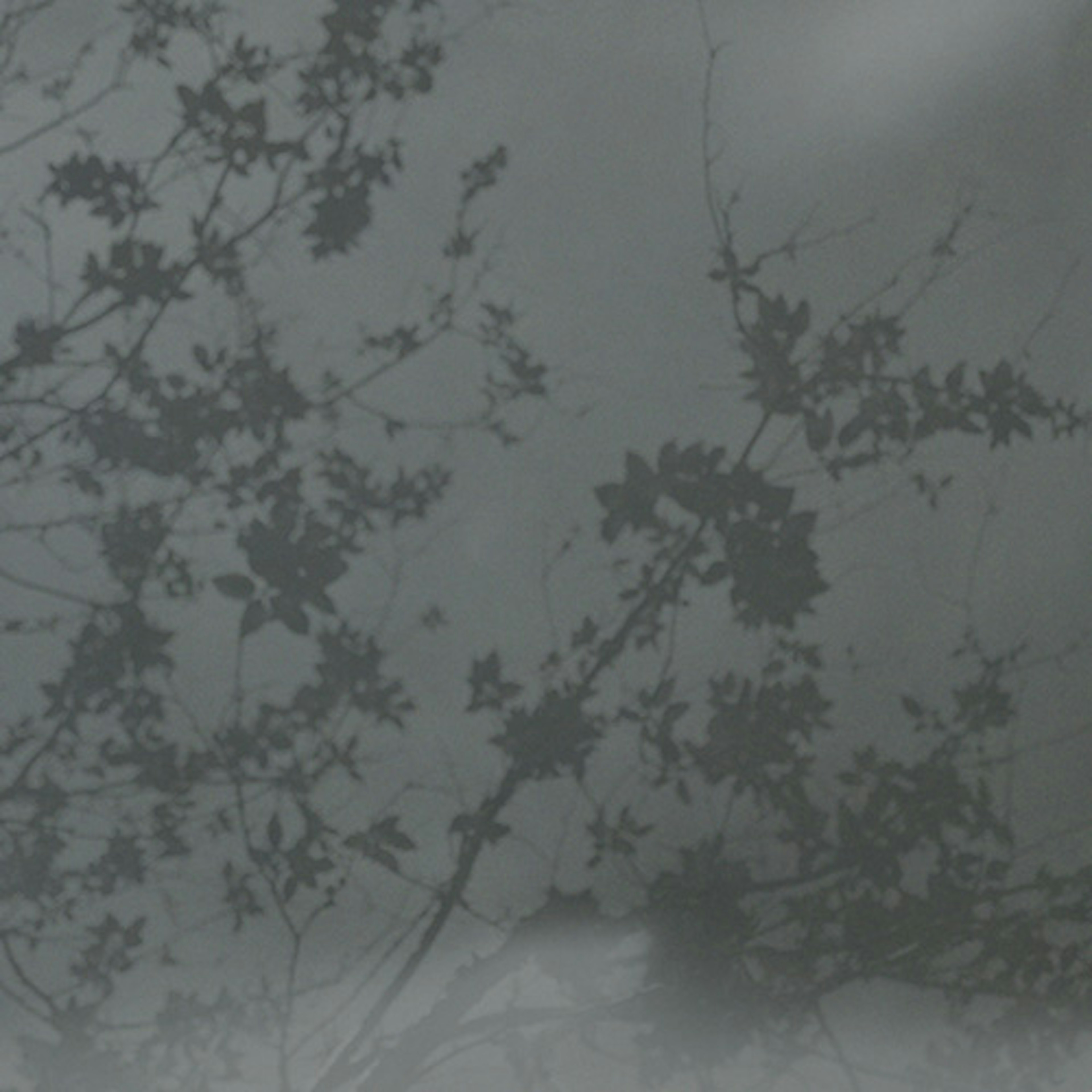banner-highlight