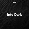 Into Dark album cover Into Dark album cover