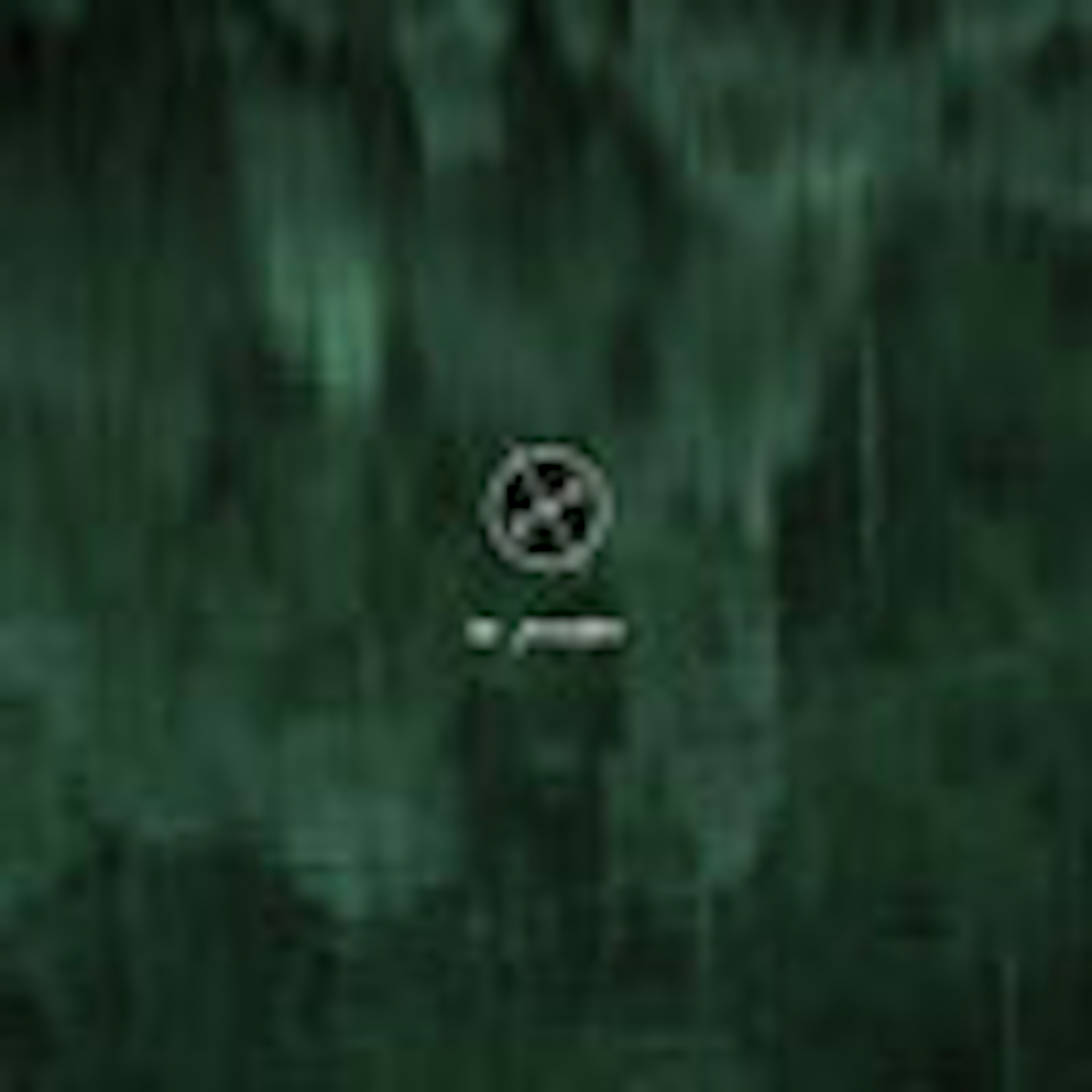 In Prayer album cover In Prayer album cover