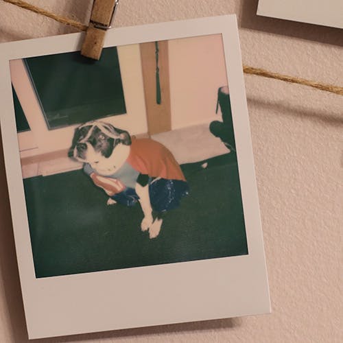 A Lot to Do with You