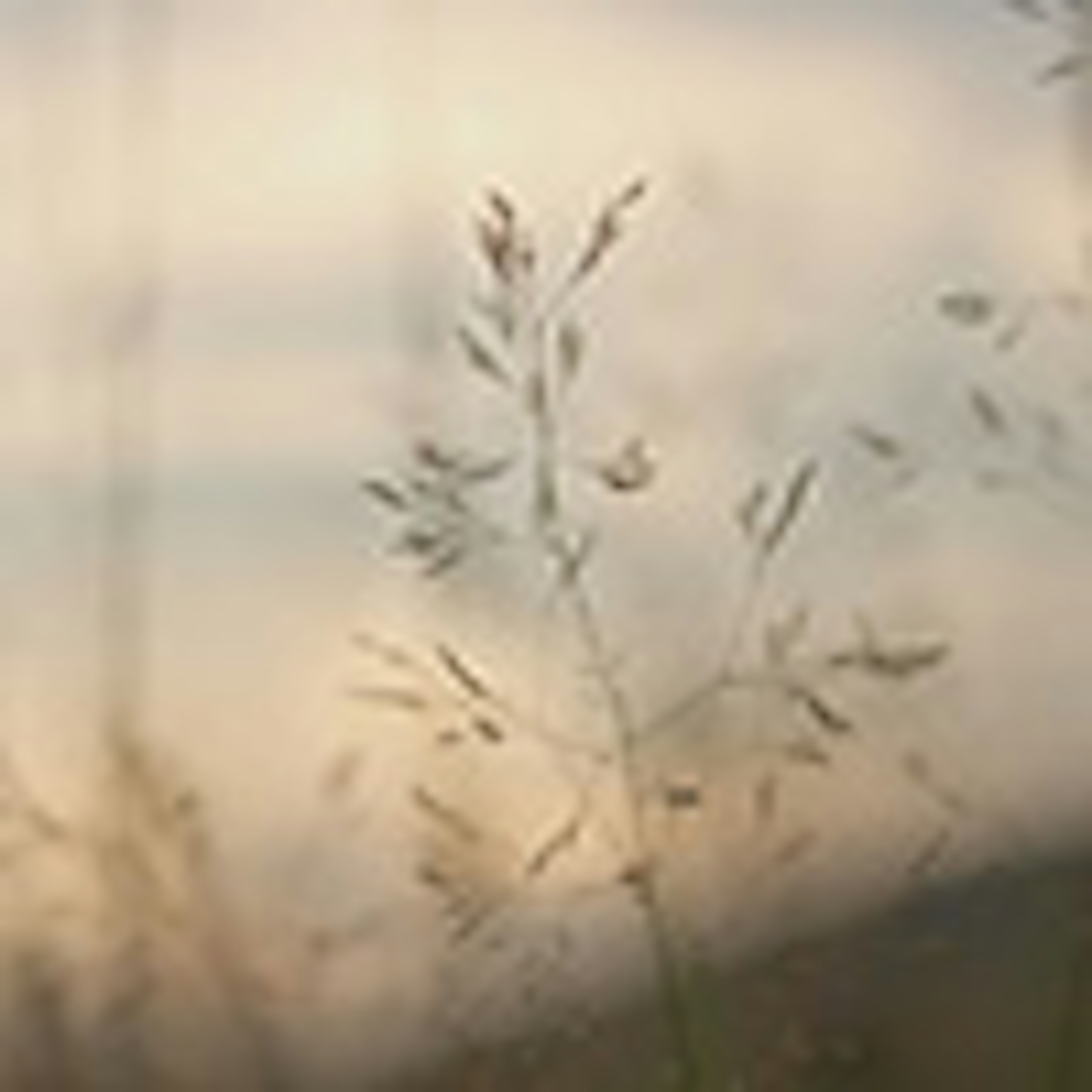 banner-highlight