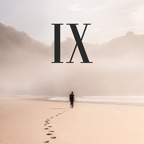 IX