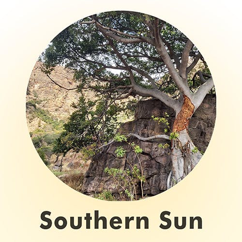 Southern Sun