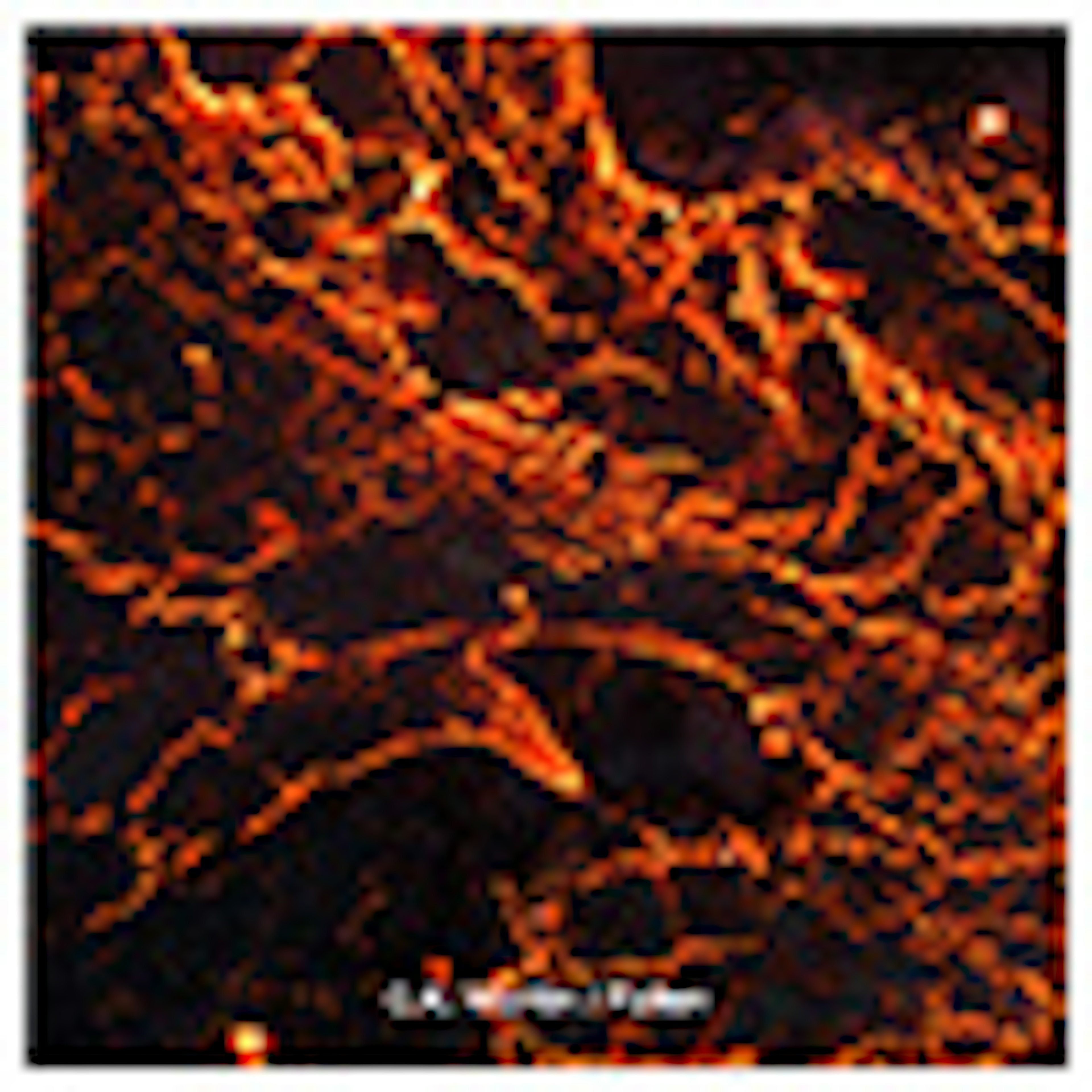 Fallen album cover