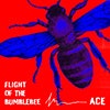 Flight of the Bumblebee album cover Flight of the Bumblebee album cover