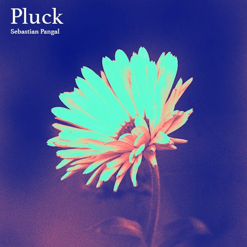 Pluck