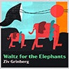 Waltz for the Elephants album cover Waltz for the Elephants album cover