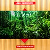 Jungle and Rainforest album cover Jungle and Rainforest album cover