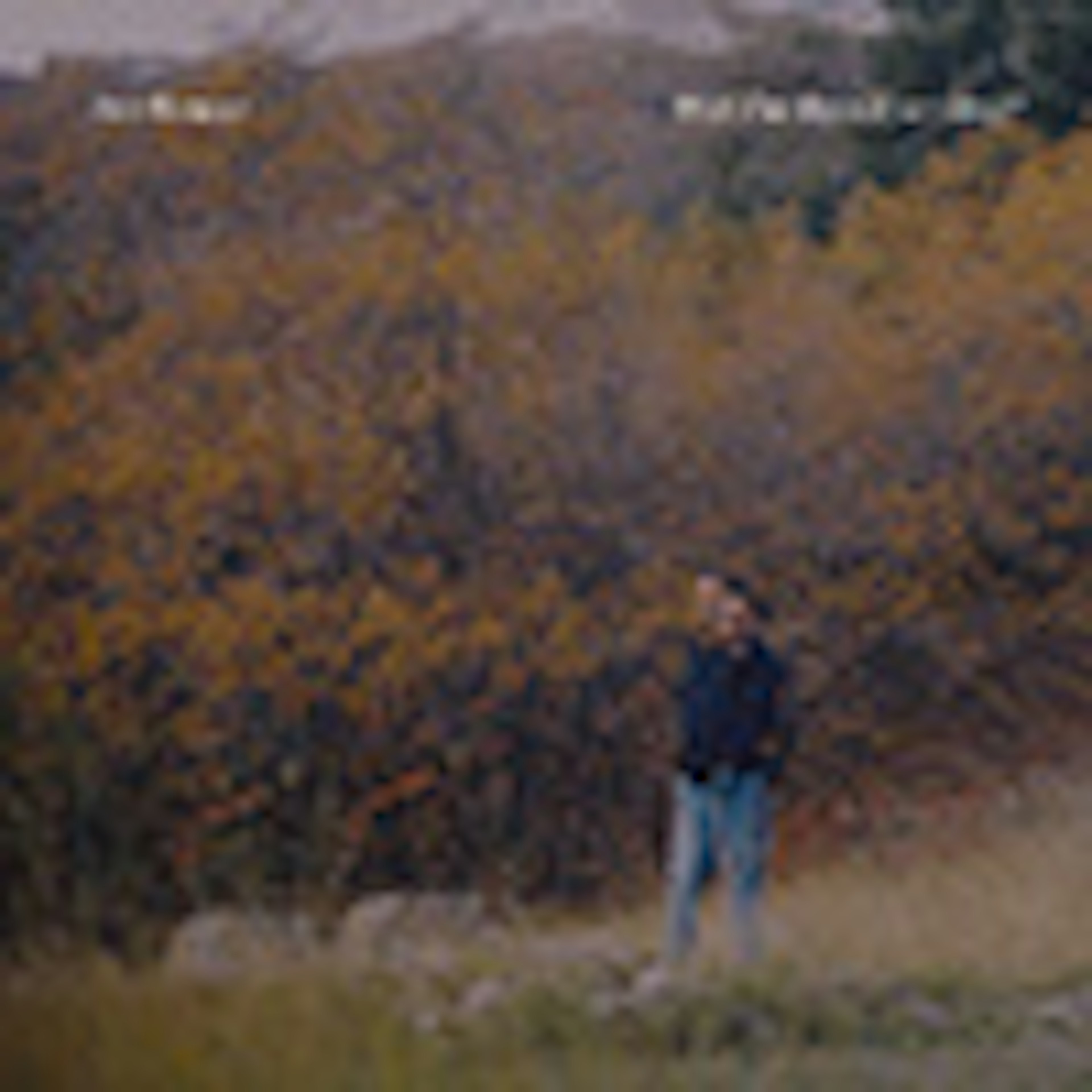 banner-highlight