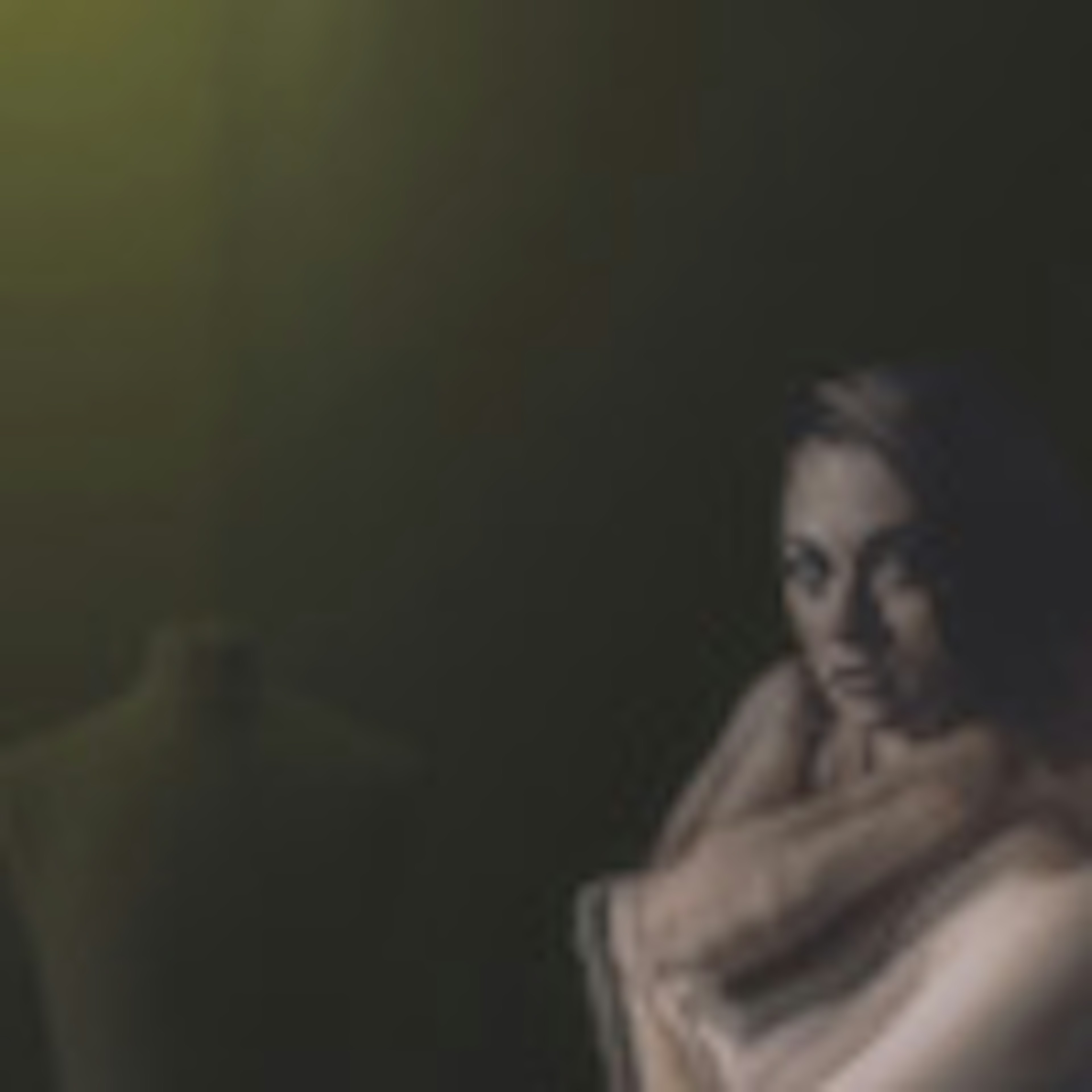 banner-highlight