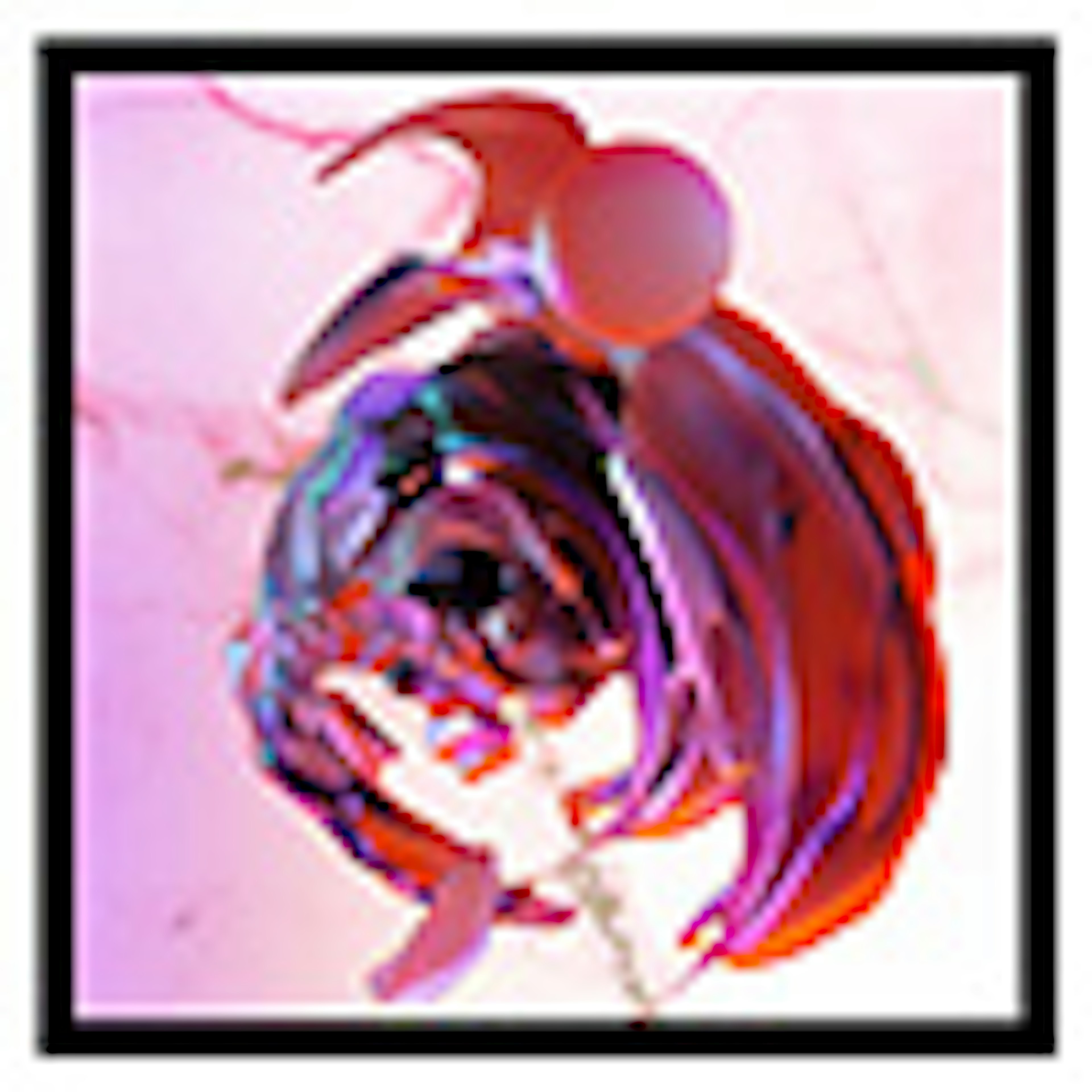 banner-highlight