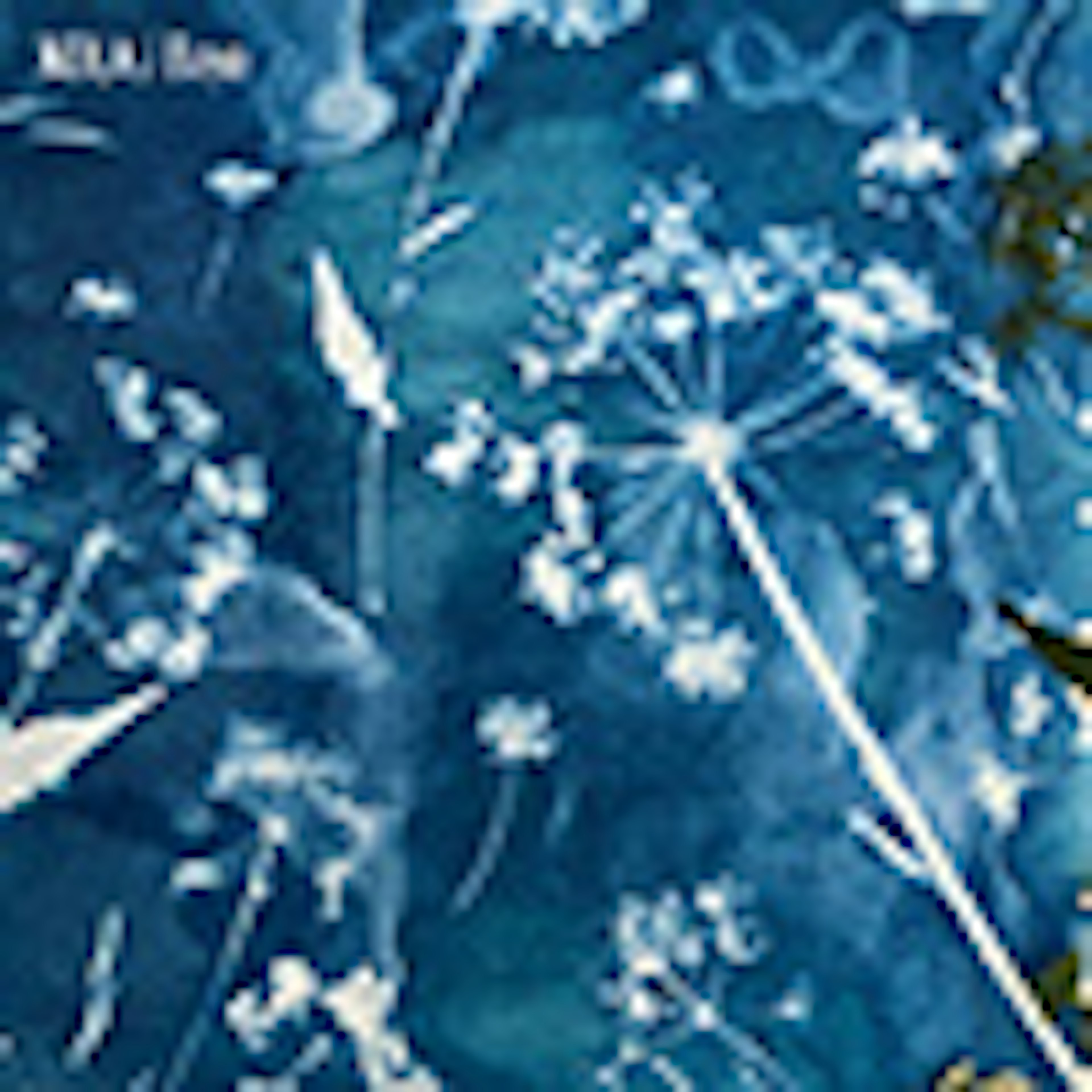 banner-highlight