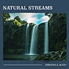 Natural Streams album cover Natural Streams album cover